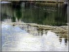 foto Lago dei Lasteati